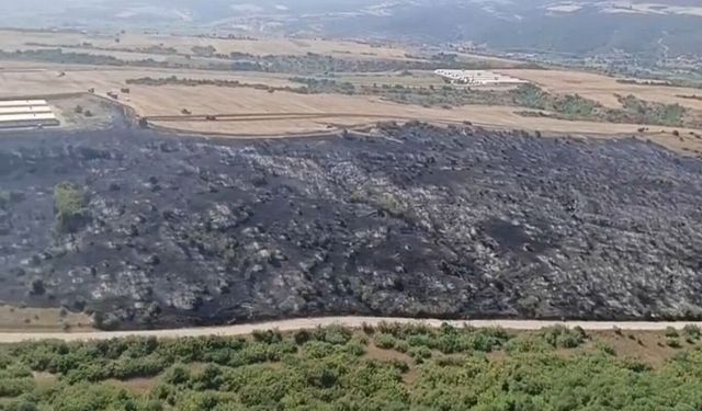 Bursa'da iki ilçedeki orman yangınları kontrol altına alındı