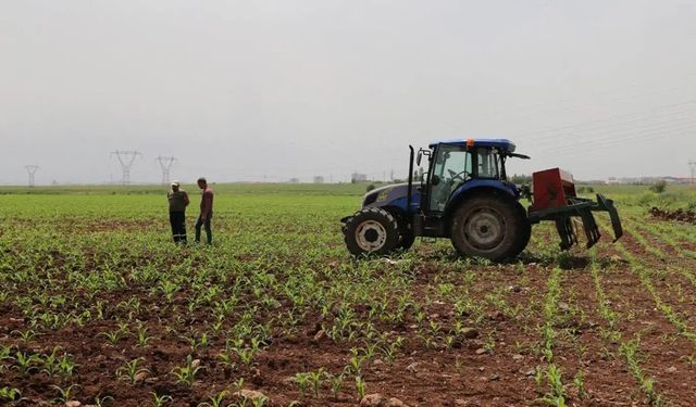 Destekleme ödemeleri çiftçilerin hesabına bugün yatacak