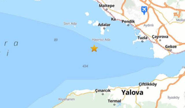 İstanbul Adalar açıklarında 117 mikrodeprem kaydedildi