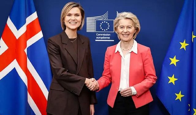 İzlanda'da AB referandumu: 'Evet' çıksa bile üyelik garanti değil