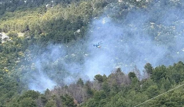 Konya'da orman yangını