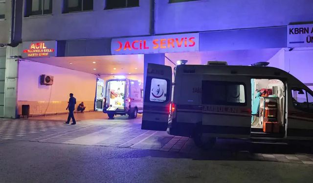 Malatya'da gölete düşen çocuğu kurtarmak isterken 6 kişi boğulma tehlikesi geçirdi