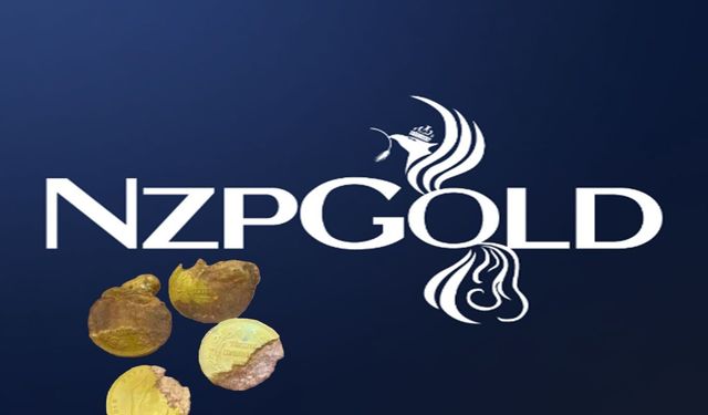 NZP Gold hakkında sahte altın iddianamesi