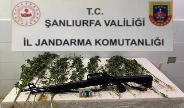 Şanlıurfa'da uyuşturucu operasyonu