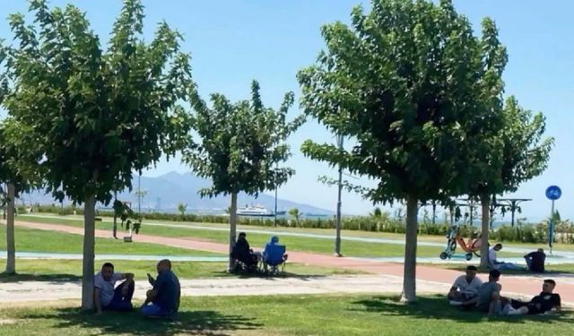 Sıcak hava etkisini sürdürecek: Bazı bölgelerde sıcaklık 40 dereceyi aşacak