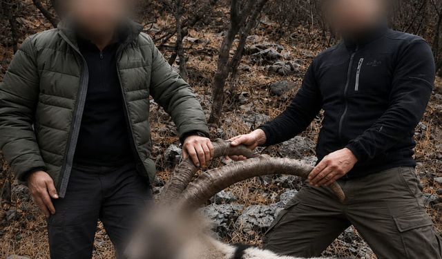 Siirt'te 6 yıl önce koruma altındaki yaban keçilerini avlayanlara ceza