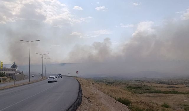 Siirt'te anız yangını: 100 dönümden fazla alan zarar gördü