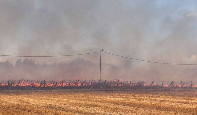 Silivri'de çıkan yangın kontrol altına alındı