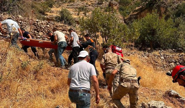 Şırnak'ta ağaçtan düşen vatandaş için ekipler seferber oldu