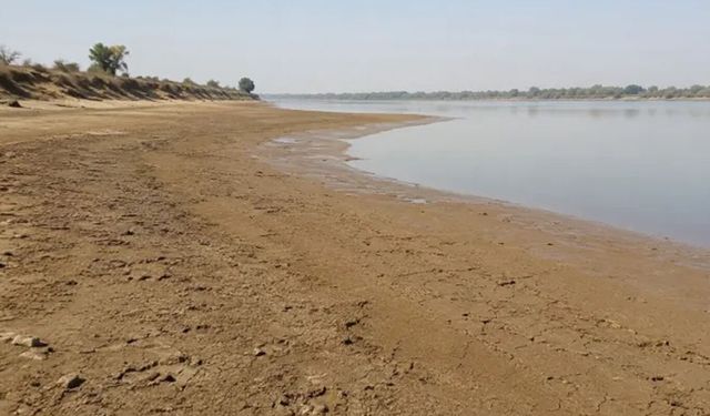 Sudan'da Nil alarmı: Kuraklık ve savaş ülkenin 'gıda ambarını' vuruyor