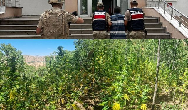 Bingöl'de bir haftalık asayiş bilançosu açıklandı