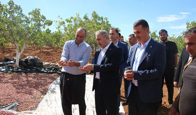 HÜDA PAR Milletvekili Demir: Fıstık piyasasının denetim mekanizmasına ihtiyacı var