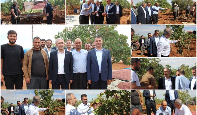 HÜDA PAR Milletvekili Demir: Fıstık üreticisinin ayakta kalabilmesi için acil müdahale gerekiyor