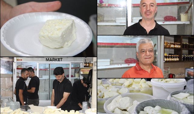 Peynir fiyatları cep yakıyor: Koyun peyniri 650 liraya ulaştı