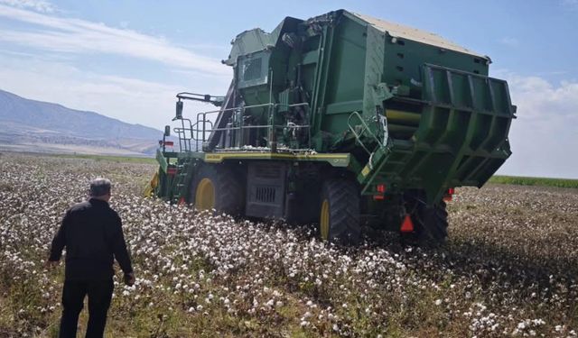 Silopi'de pamuk hasadı başladı