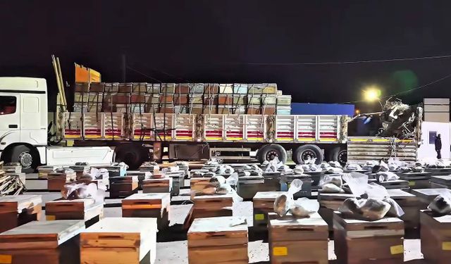 Arı kovanlarının arasına gizlenmiş 91,1 kilo uyuşturucu ele geçirildi