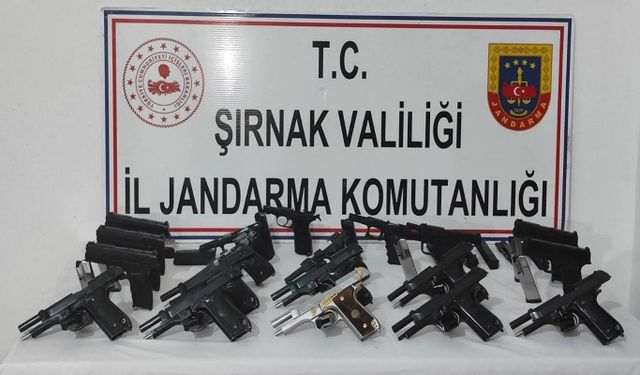 Şırnak'ta 3 tır'da silah ve uyuşturucu madde ele geçirildi