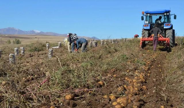 Türkiye'de 8 bin 933 tarımsal amaçlı kooperatif bulunuyor