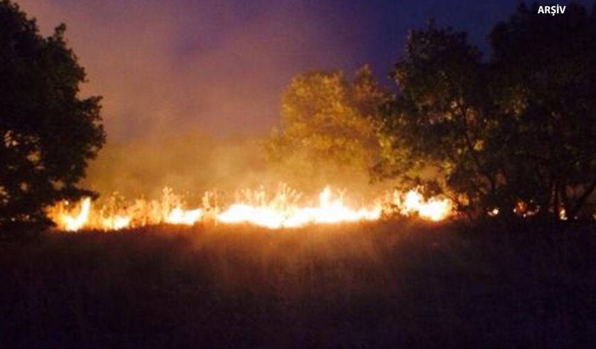 Lice’de orman yangını: Ekipler seferber oldu