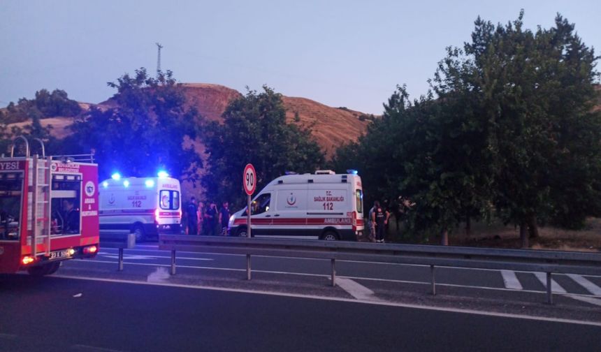 Elazığ'da Ağaca Çarpan Otomobildeki 2 Kişi Yaralandı