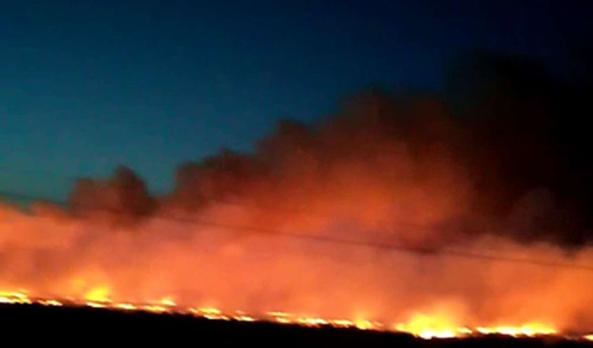 Diyarbakır’da büyük anız yangını: 3 bin dönüm kül oldu