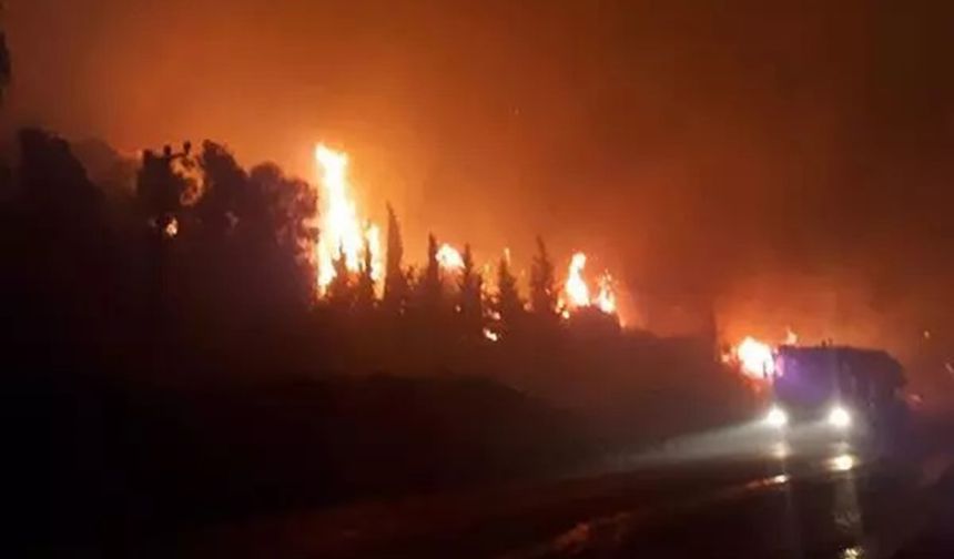 Gerger’de Orman Yangını: 30 Hektarlık Alan Kül Oldu