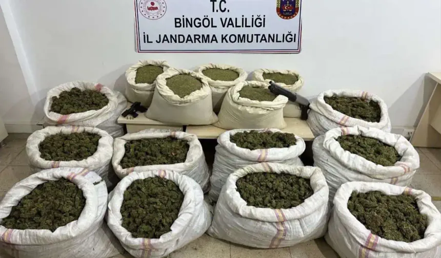 Bingöl'de Büyük Narkoterör Operasyonu: 11 Milyon Kenevir Bitkisi Ele Geçirildi