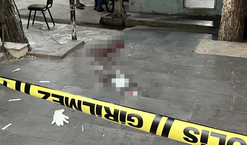 Diyarbakır-Yenişehir'de iki kardeşin kavgasında kan döküldü
