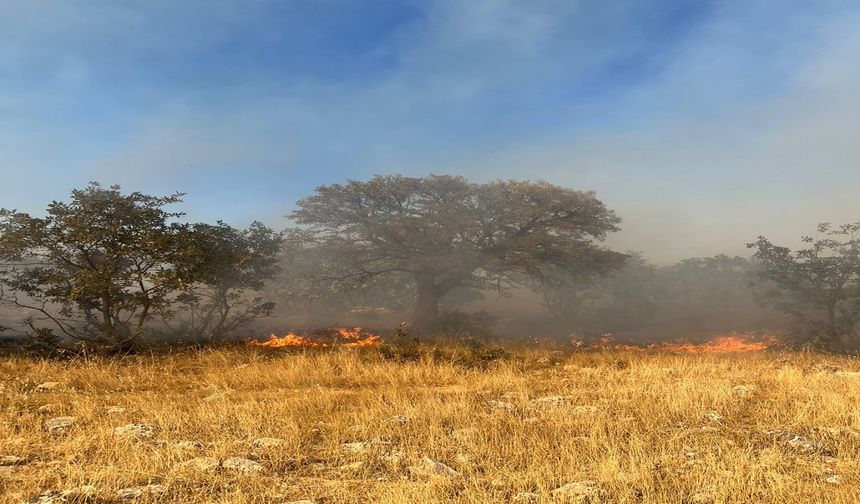 Mardin’de Ormanlık Alanda Örtü Yangını Kontrol Altına Alınmaya Çalışılıyor