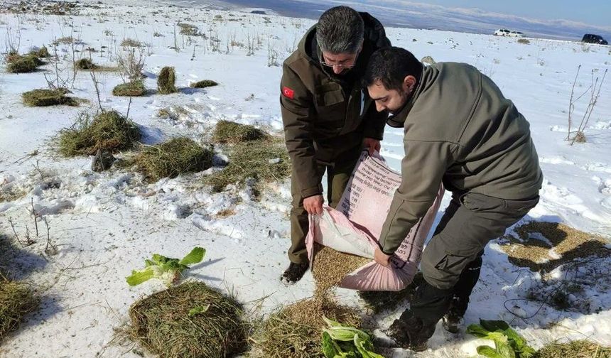 Siverek’te yaban hayvanları unutulmadı