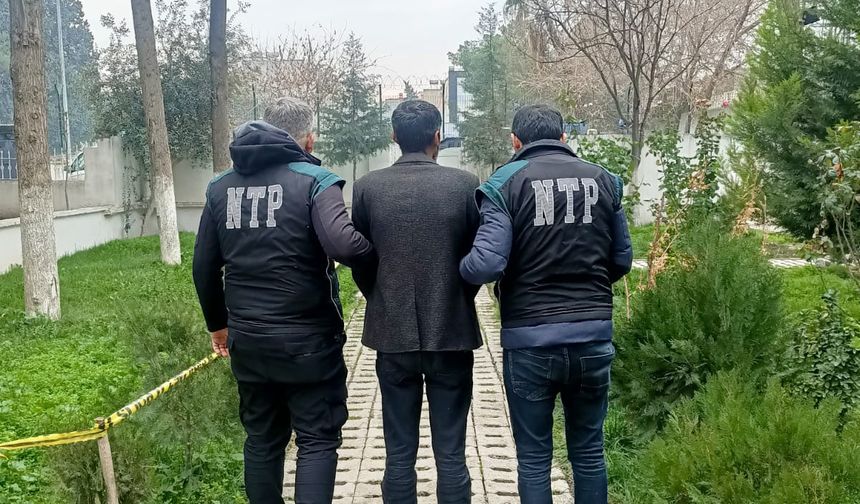 Şanlıurfa'da Firari Hükümlü Yakalandı
