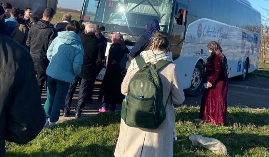 Viranşehir’de yolcu otobüsü kontrolden çıktı!