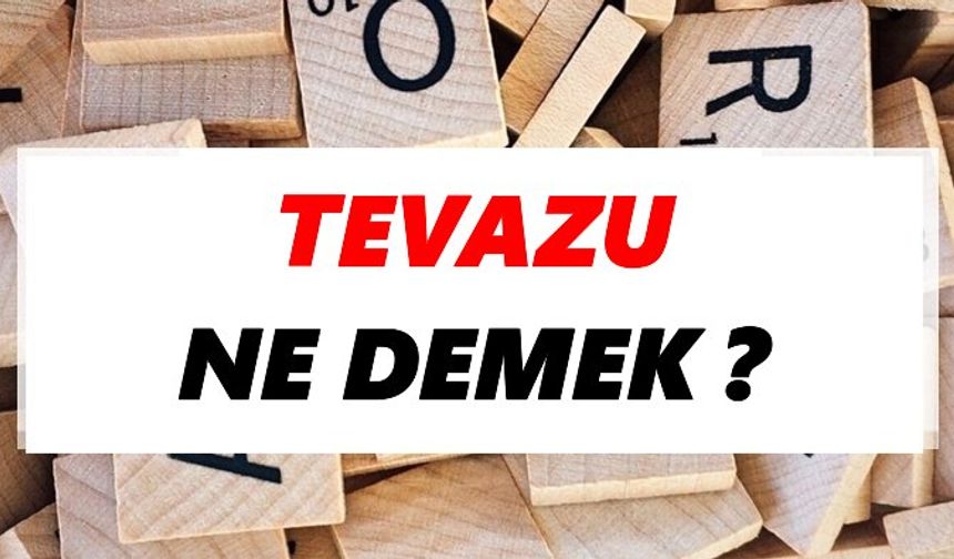 Tevazu Ne Demek?