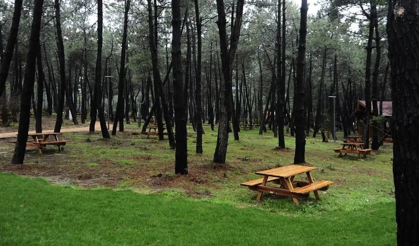 Adıyaman'da ormanlık alanlara giriş yasaklandı