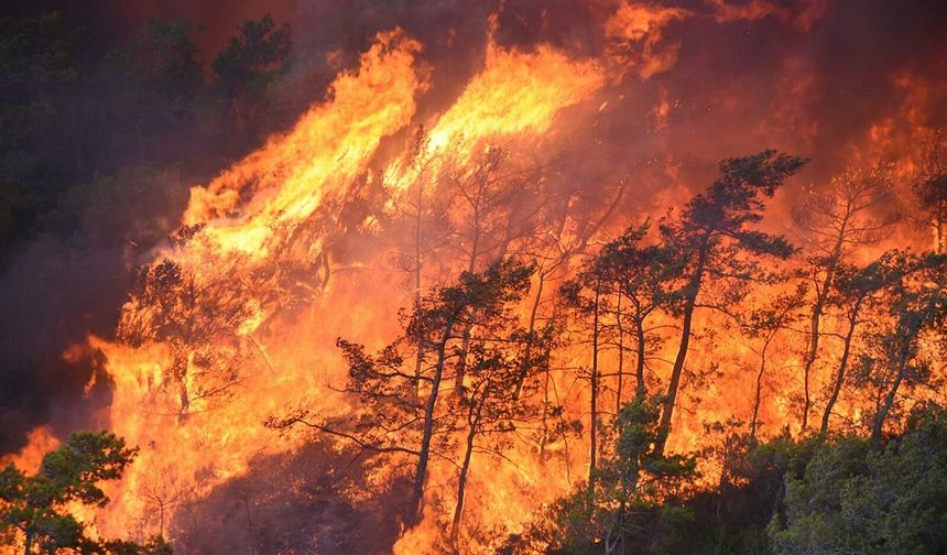 Hatay'da orman yangını rüzgarın etkisiyle yayılıyor