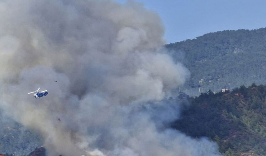 Muğla'da orman yangını 