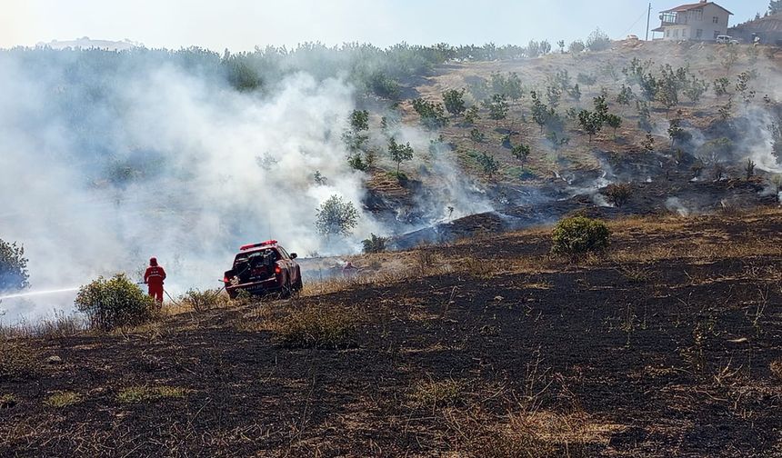 Malatya'da bir orman yangını daha 