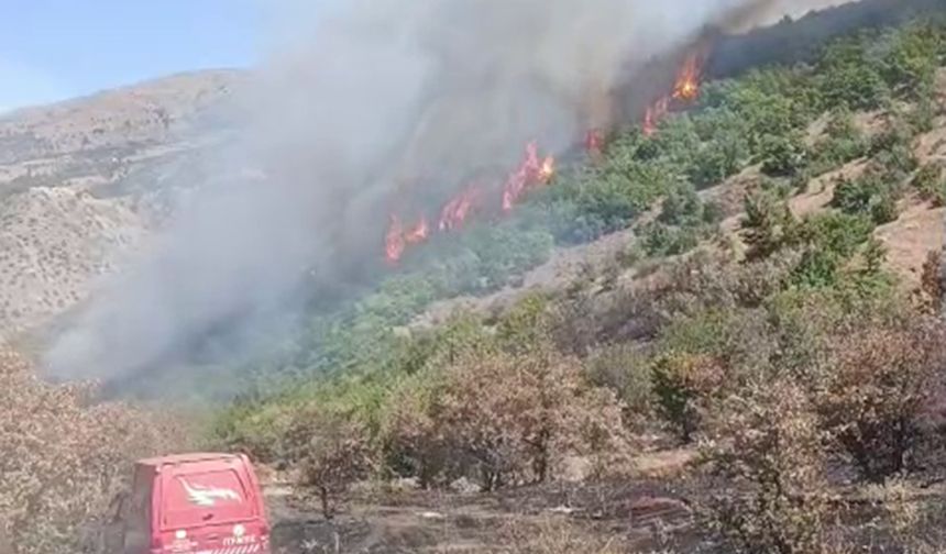 Malatya'da orman yangını 