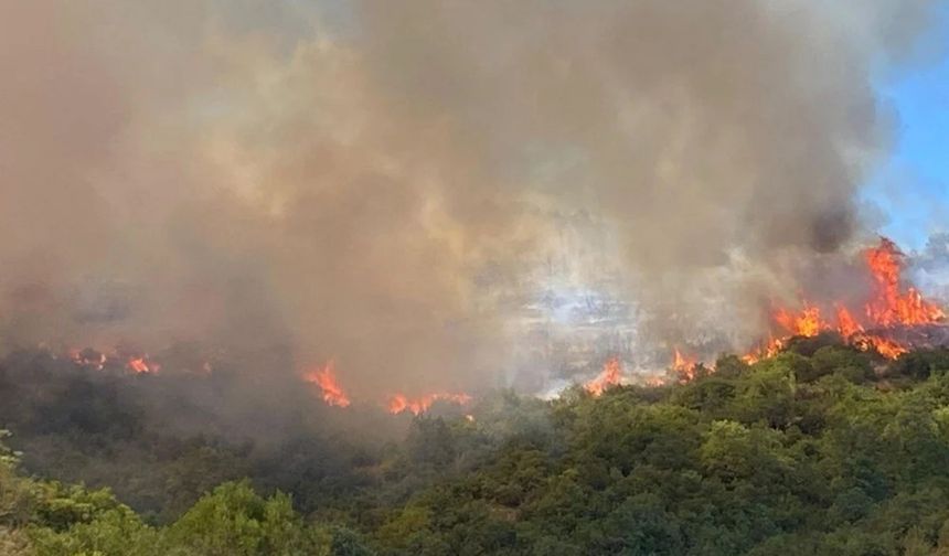 Çorum'da orman yangını 