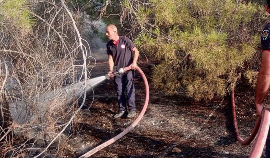 Şanlıurfa’da çıkan orman yangını söndürüldü