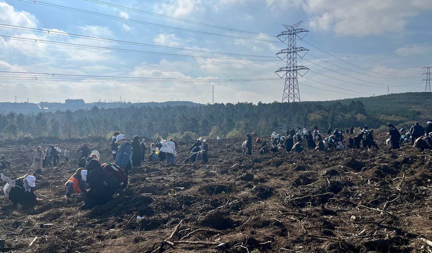 Gazze için 10 bin fidan dikildi