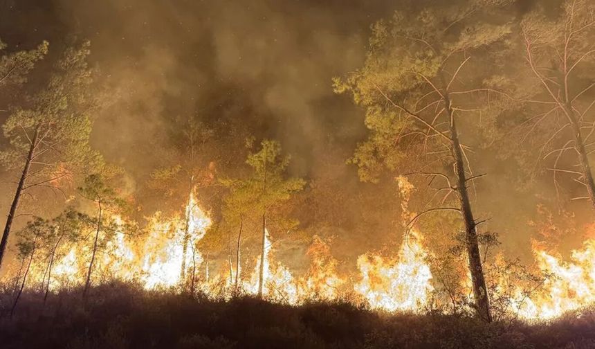 Antalya'da orman yangını