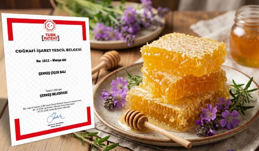 Çerkeş Çiçek Balı coğrafi işaret tescili aldı