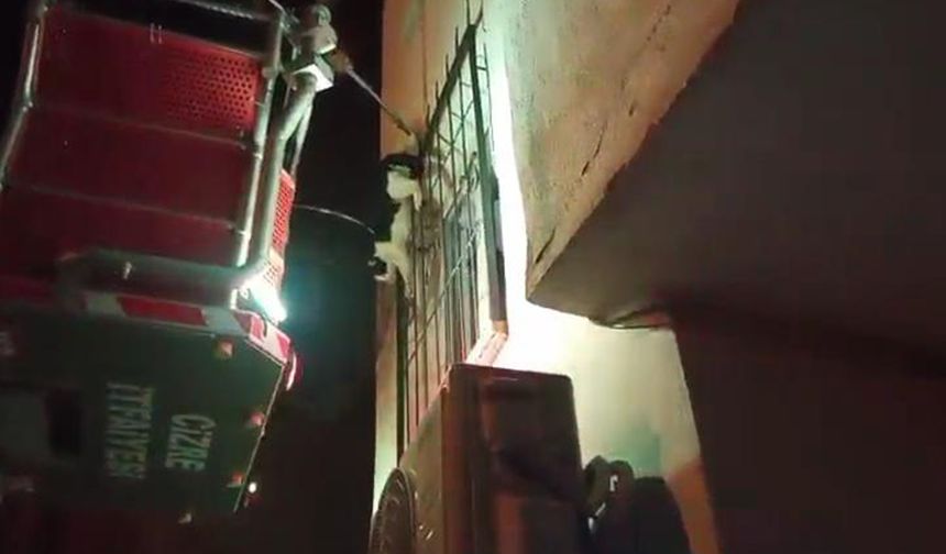 Cizre’de ayağı demir korkuluklara sıkışan kedi için itfaiye seferber oldu