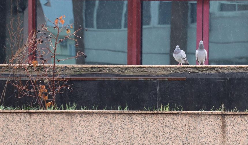 Meteoroloji'den yağmur, kar ve fırtına uyarısı