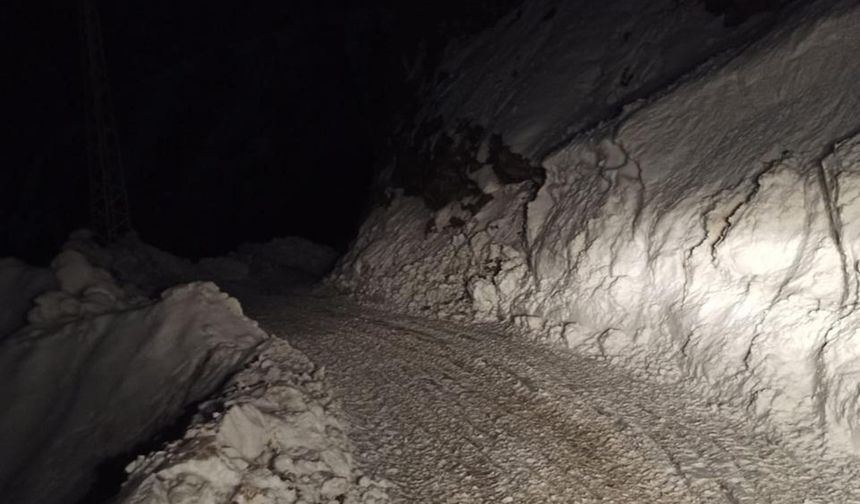 Siirt'te köy yoluna düşen çığ temizlendi