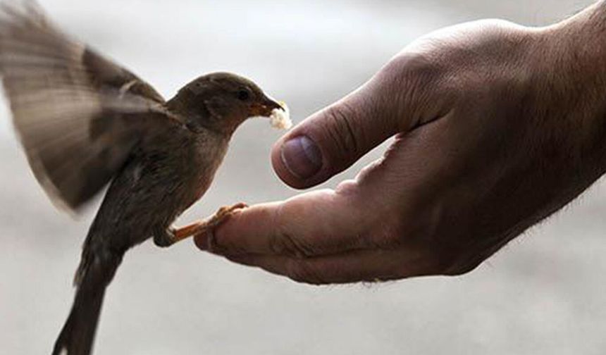 Uzmanlara göre iyiliğin gerçek gücü niyette saklı
