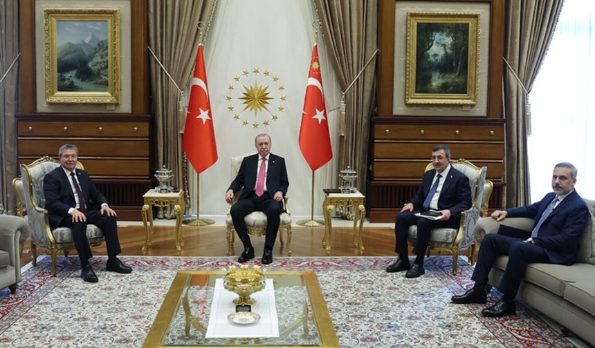 Cumhurbaşkanı Erdoğan, KKTC Başbakanı Üstel'i kabul etti