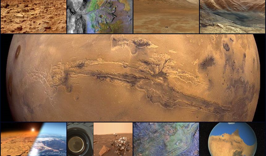 Mars’ın tropikal geçmişi mi vardı?