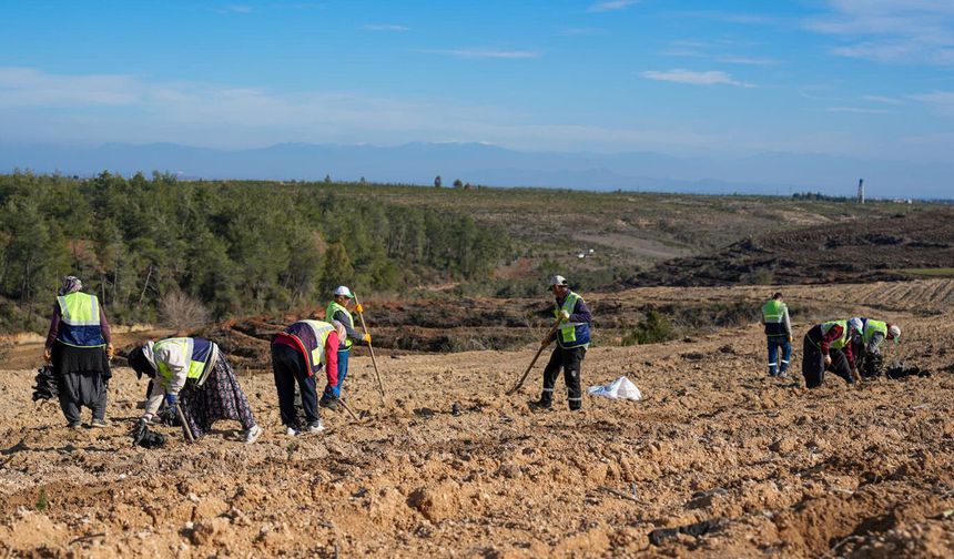 Adana’da 1,2 milyon fidan toprakla buluşturuldu